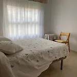 El Olivar 6D